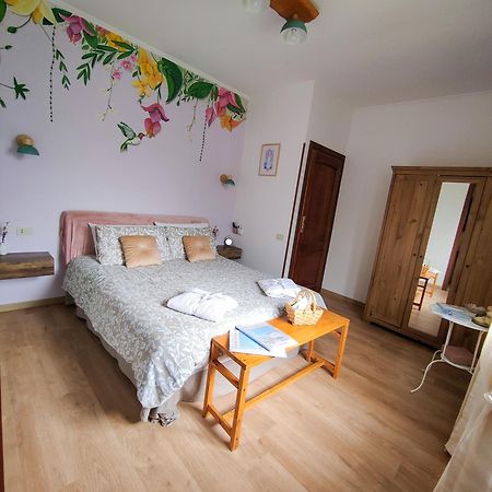 Bed and Breakfast Casale Dei Ricordi Arce Zewnętrze zdjęcie