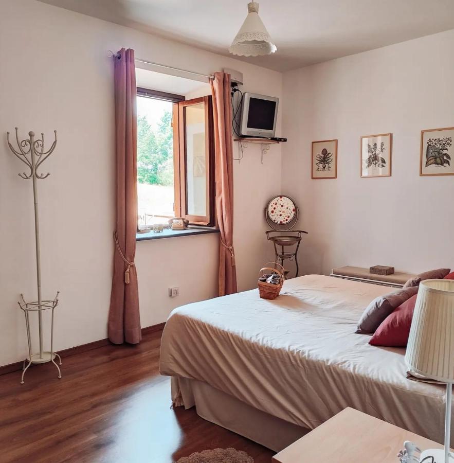 Bed and Breakfast Casale Dei Ricordi Arce Zewnętrze zdjęcie