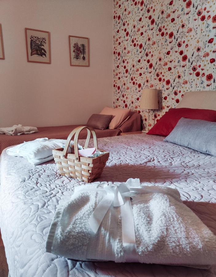 Bed and Breakfast Casale Dei Ricordi Arce Zewnętrze zdjęcie