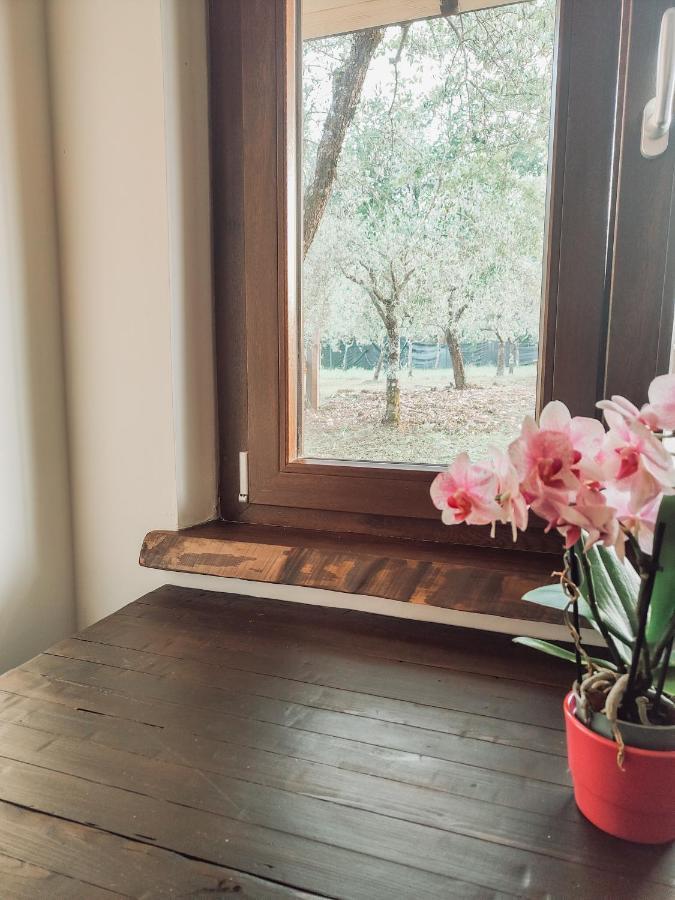 Bed and Breakfast Casale Dei Ricordi Arce Zewnętrze zdjęcie