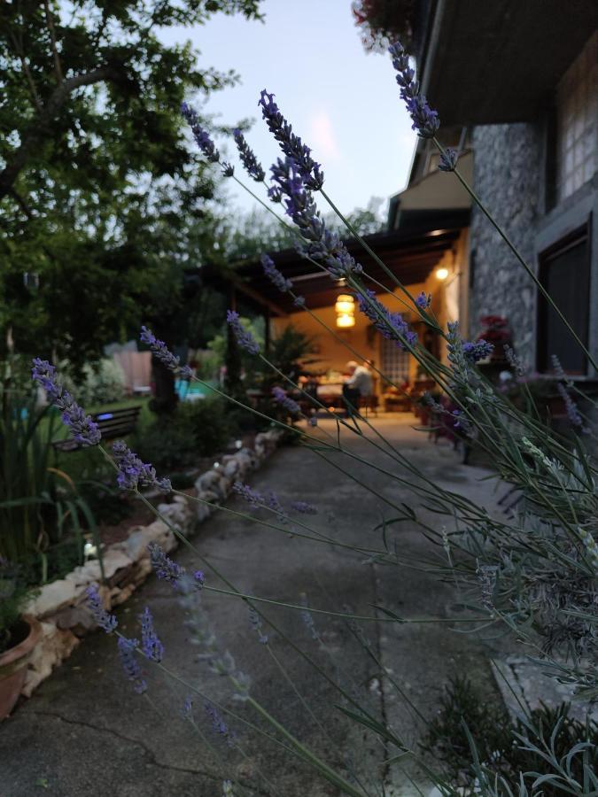 Bed and Breakfast Casale Dei Ricordi Arce Zewnętrze zdjęcie
