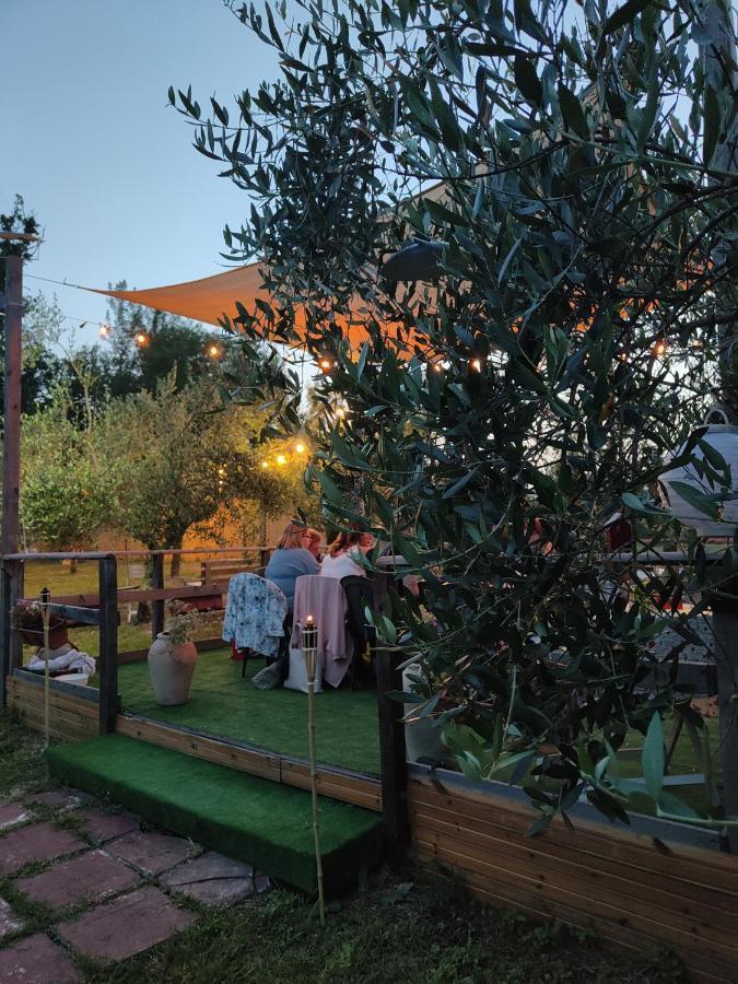 Bed and Breakfast Casale Dei Ricordi Arce Zewnętrze zdjęcie