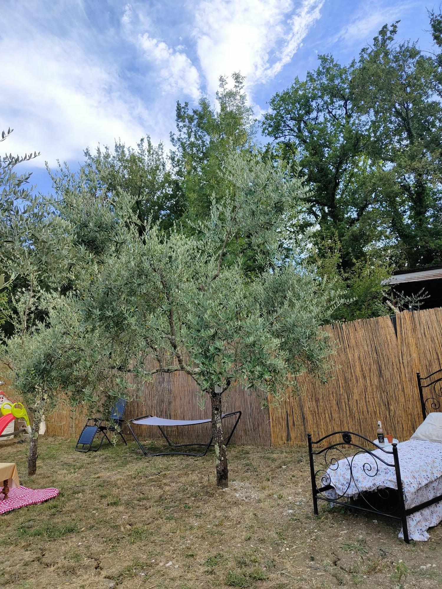Bed and Breakfast Casale Dei Ricordi Arce Zewnętrze zdjęcie