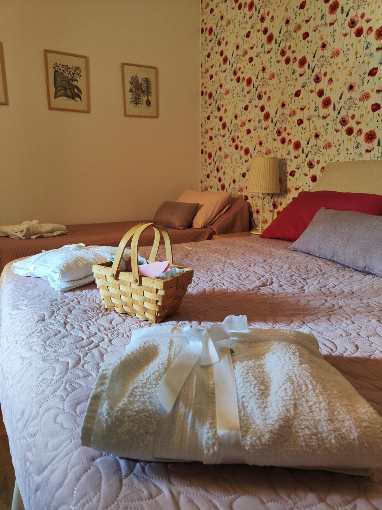 Bed and Breakfast Casale Dei Ricordi Arce Zewnętrze zdjęcie