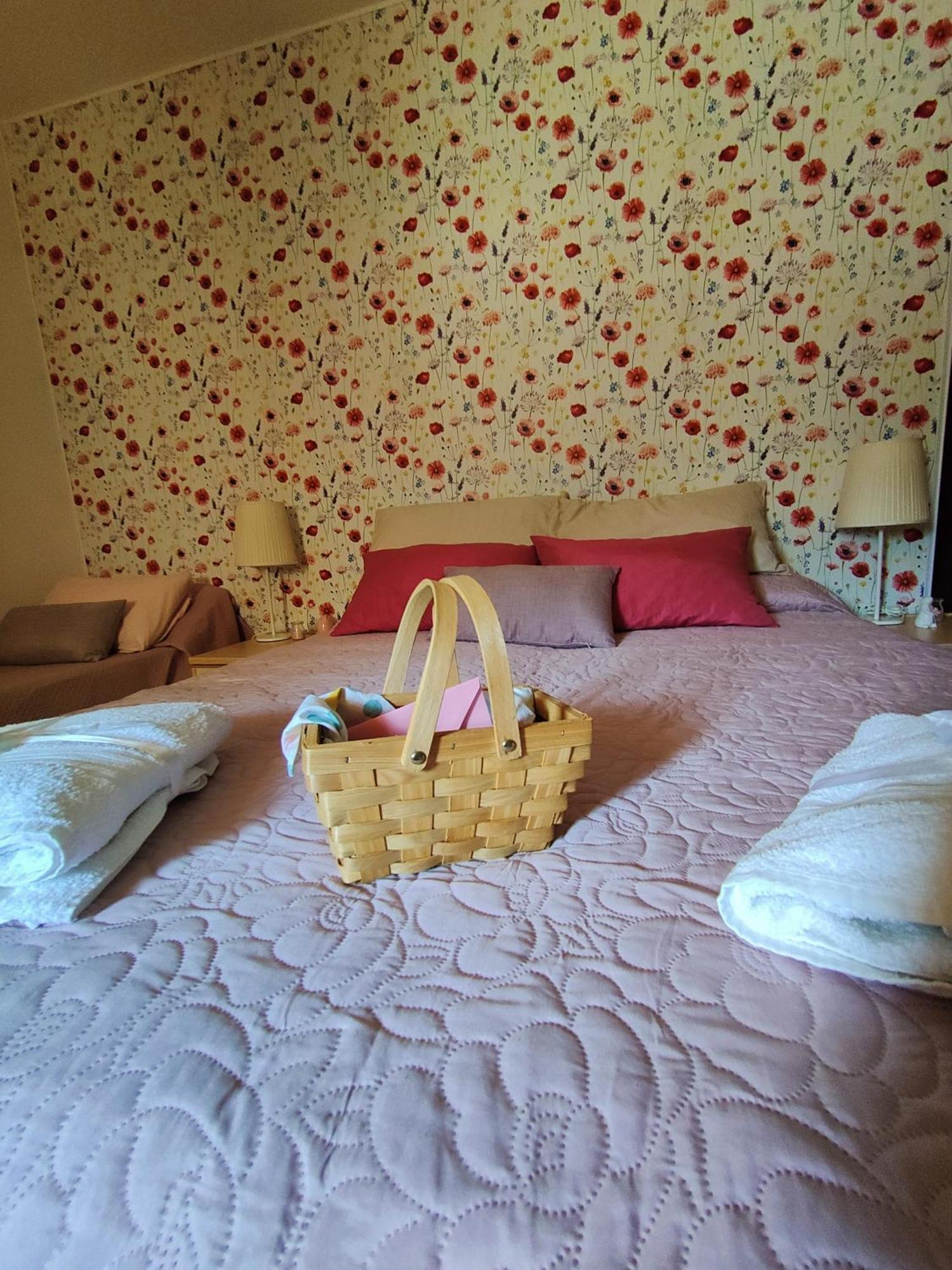 Bed and Breakfast Casale Dei Ricordi Arce Zewnętrze zdjęcie