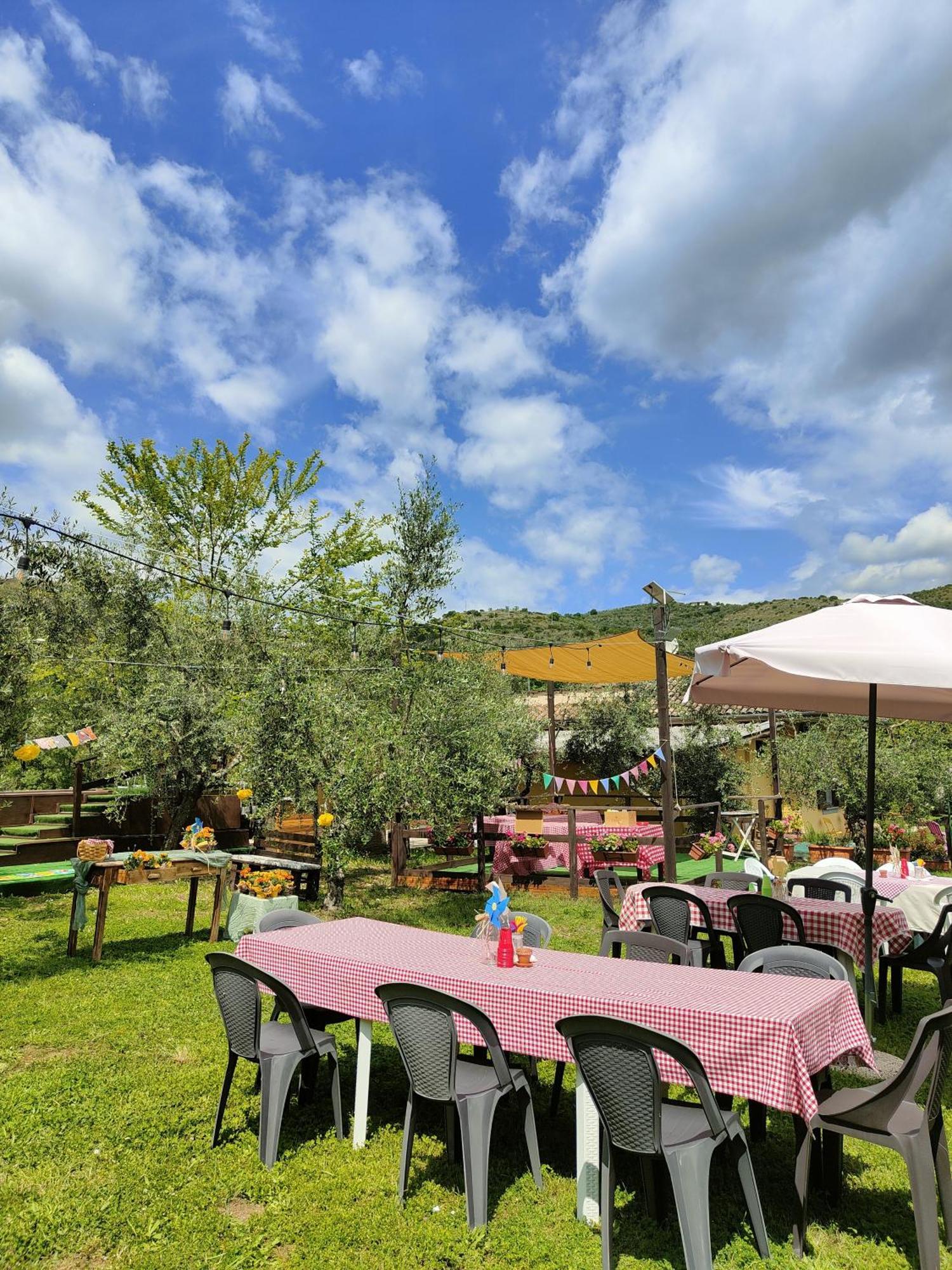 Bed and Breakfast Casale Dei Ricordi Arce Zewnętrze zdjęcie